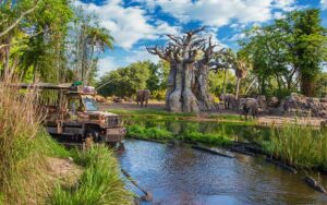 truck driving through water by elephants on kilimanjaro safaris at animal kingdom walt disney world resort orlando