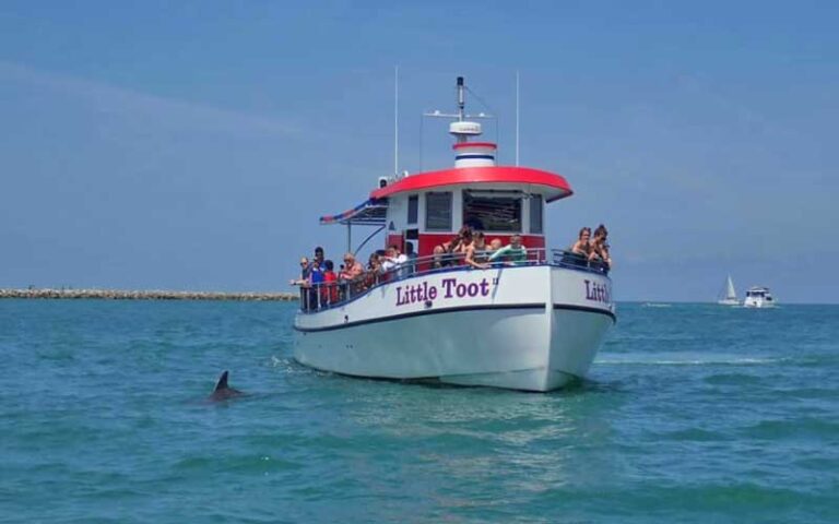 tugboat on water with jetty behind and dolphin at little toot dolphin adventure clearwater beach