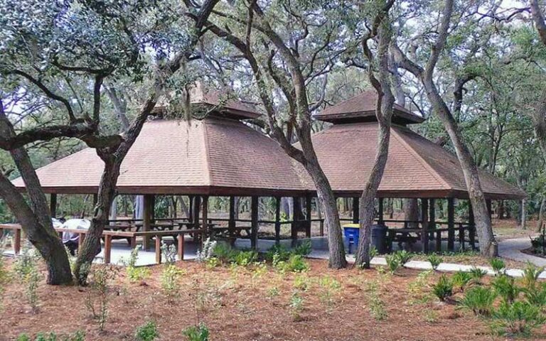two large pavilions with oak trees at moccasin lake nature park clearwater