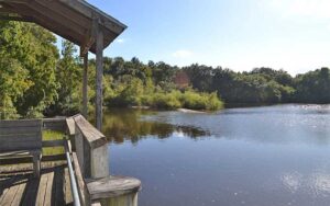 view from wooden pavilion of lake surrounded by foliage at moccasin lake nature park clearwater
