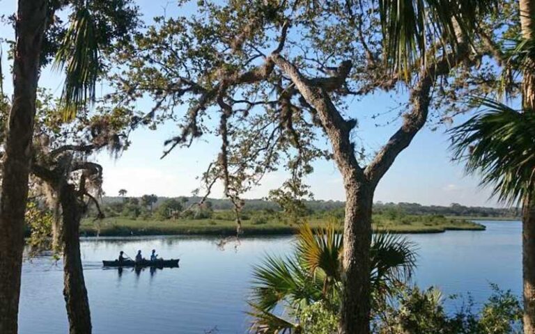 canoe paddling along river viewed through trees at tomoka state park ormond daytona beach