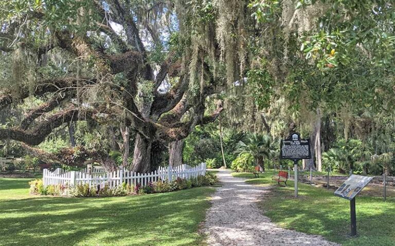 garden with path benches oak tree and sign at dunlawton sugar mill gardens port orange daytona beach