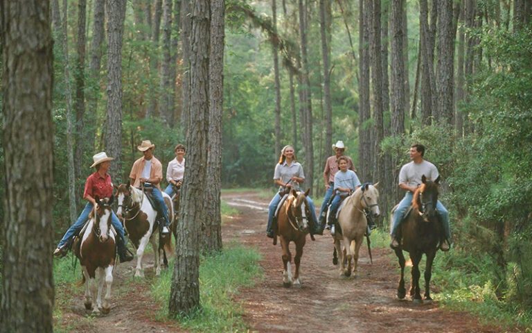 group on horseback in pine woods at cabins at fort wilderness resort walt disney world orlando