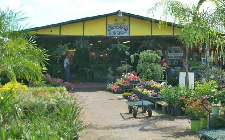 open nursery building with plants at daytona flea farmers market daytona beach