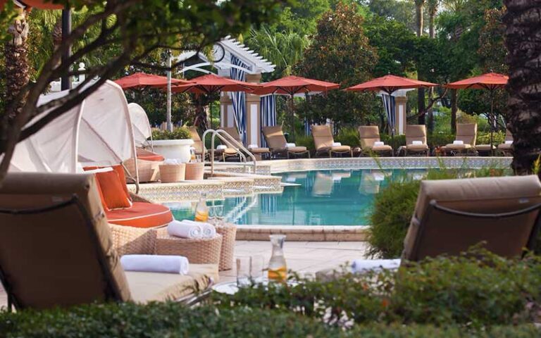 pool area with palms and loungers at renaissance orlando at seaworld