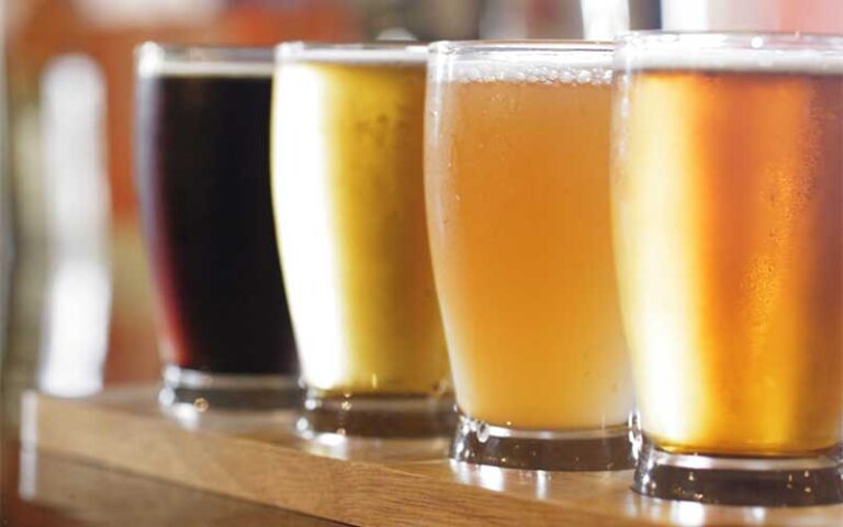 row of pint glasses with beers at ovation bistro bar winter haven