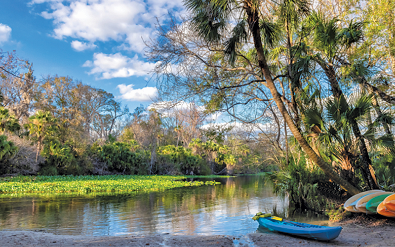 Wekiwa Springs Number