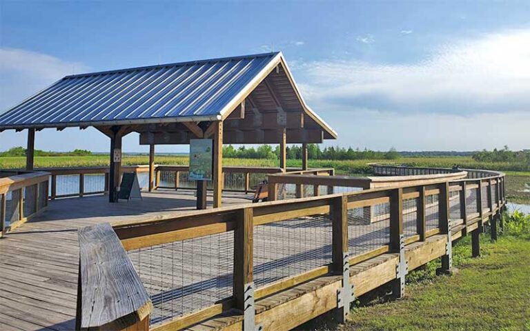 boardwalk with pavilion overlooking pond at sweetwater wetlands park gainesville