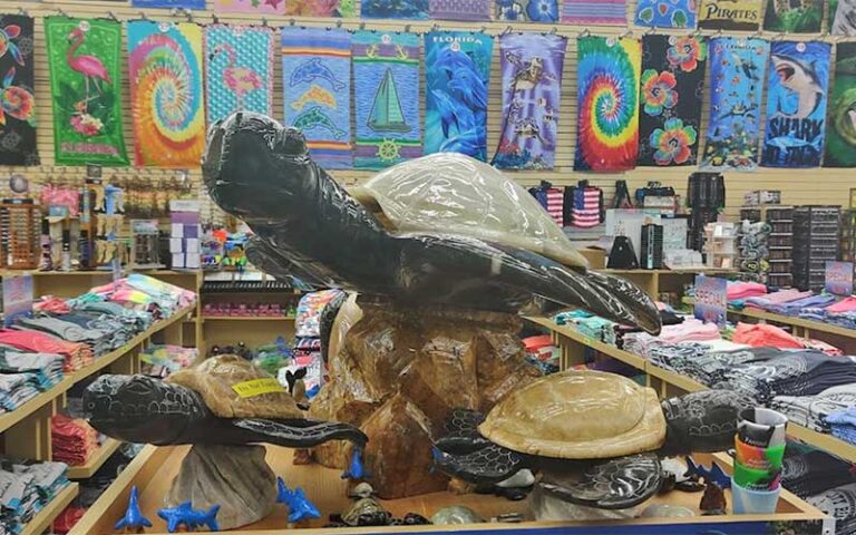 interior of shop with turtle statues and shirts at jaws souvenirs panama city beach