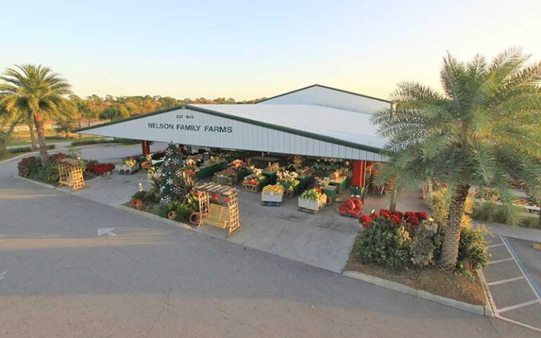 aerial view of open front grocer building with parking and palms at nelson family farms fort pierce