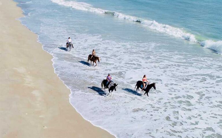 aerial view of riders on beach at tours on horseback fort pierce