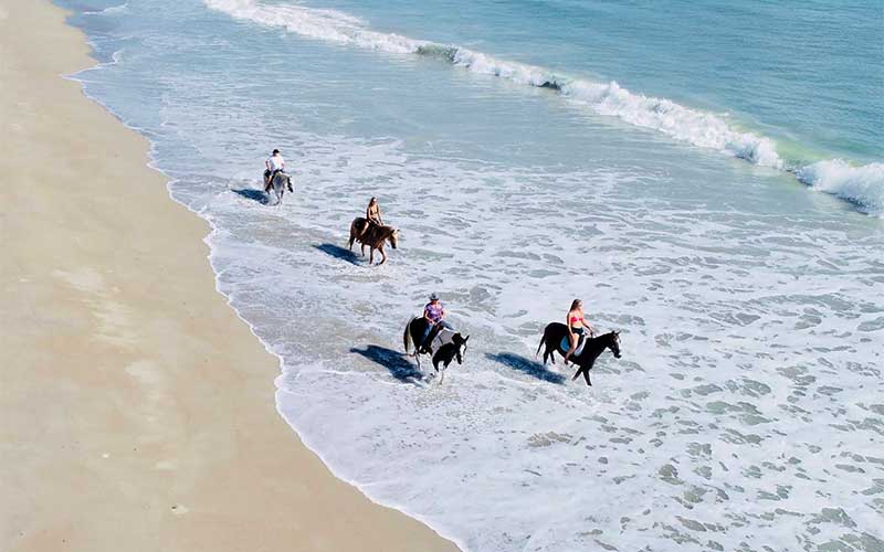 aerial view of riders on beach at tours on horseback fort pierce