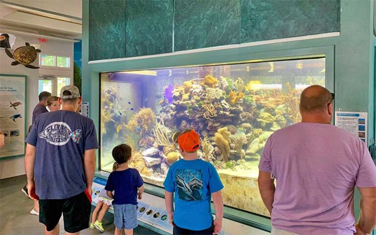 aquarium interior with exhibits and viewers at st lucie county aquarium fort pierce