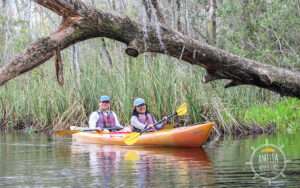 couple in orange kayak paddling under tree trunk at amelia adventures fernandina beach