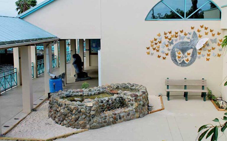 courtyard of center with touch tank at manatee center fort pierce
