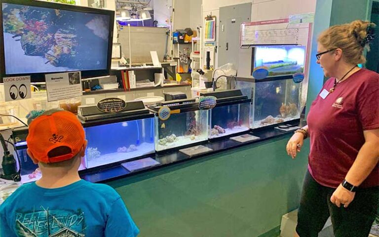 display with several tanks and viewers at st lucie county aquarium fort pierce
