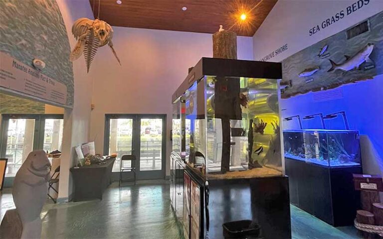 exhibit room with aquarium tank at manatee center fort pierce
