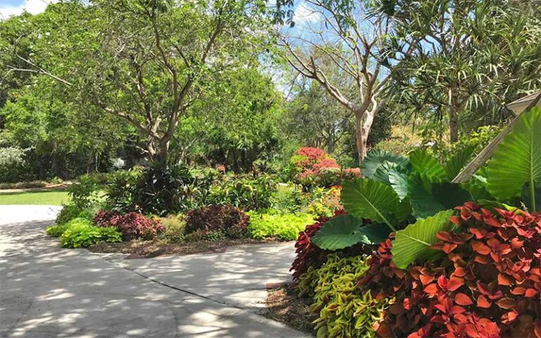 garden area with pathways and tropical plants at heathcote botanical gardens fort pierce