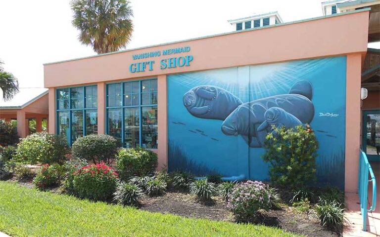 gift shop exterior with wall mural at manatee center fort pierce