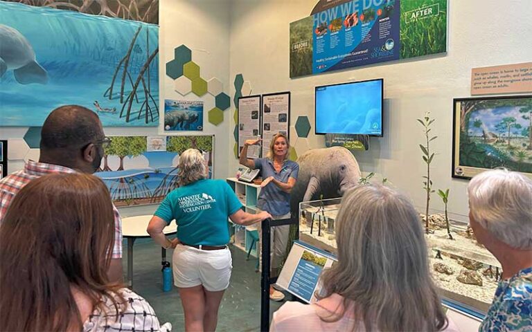 guided tour with interior exhibits at manatee center fort pierce