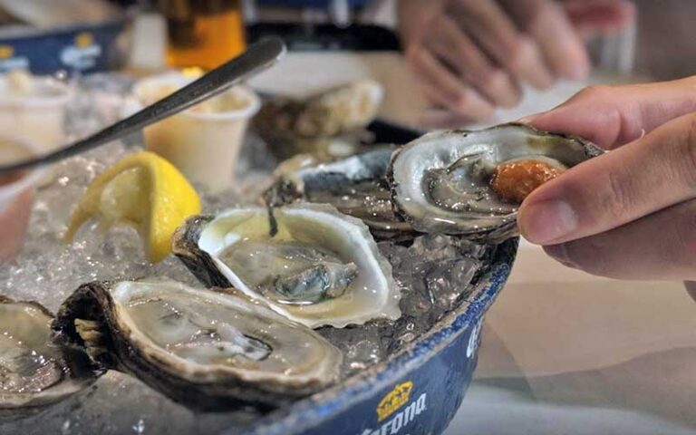 hand holding raw oyster with ice bowl of oysters at 12a buoy fort pierce