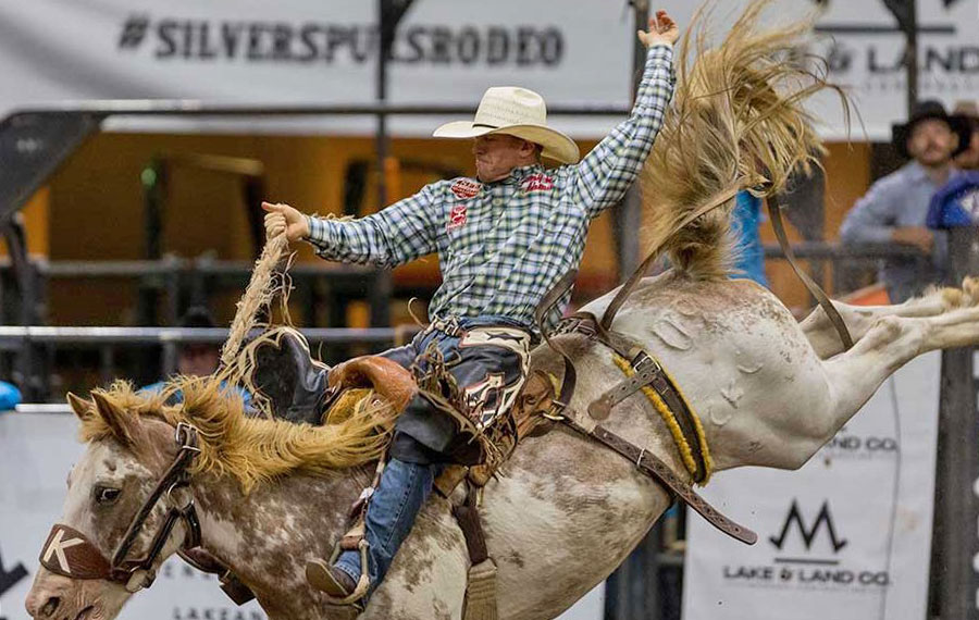 man riding bucking bronco in rodeo corral at silver spurs arena kissimmee