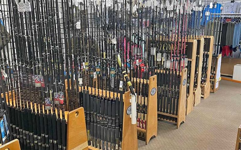 multiple racks of new fishing rods at snook nook discount bait tackle jensen beach