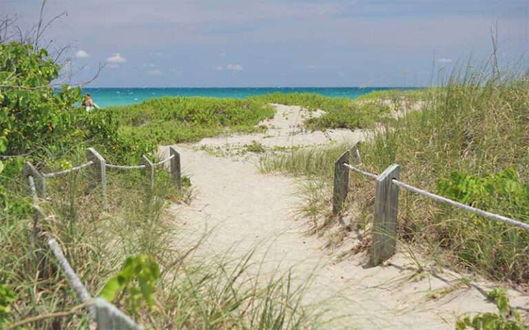 path through dunes to beach at frederick douglass memorial park fort pierce