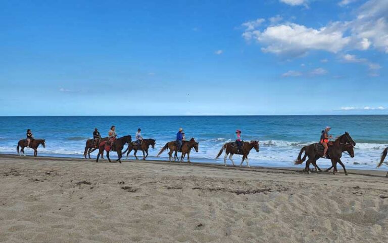 row of horseback riders on beach at frederick douglass memorial park fort pierce