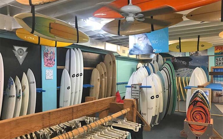 surfboards and skimboards in shop at spunkys surf shop fort pierce