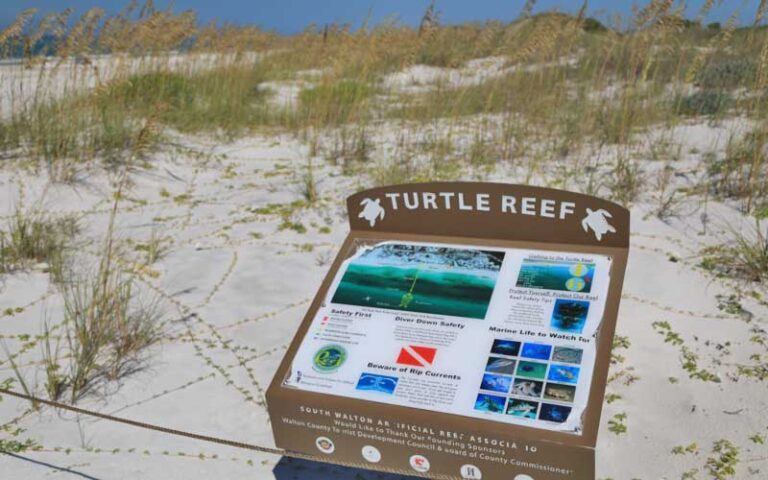 dune area with turtle reef sign at grayton beach state park santa rosa beach