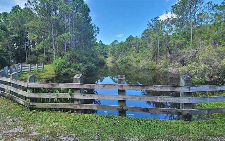 dune lake with fence and trees at topsail hill preserve state park santa rosa beach