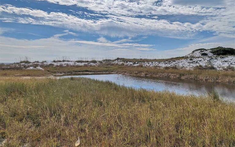 dune lake with scrub grass and cloudy sky at topsail hill preserve state park santa rosa beach