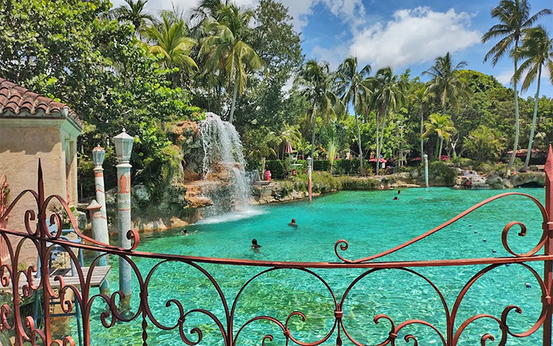 green pool with cascade features viewed through iron gate fence venetian pool coral gables