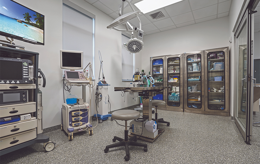 interior medical examination room with scanning instruments at loggerhead marinelife center juno beach