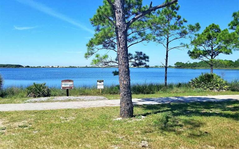 lakeside path with tree and western lake sign at grayton beach state park santa rosa beach