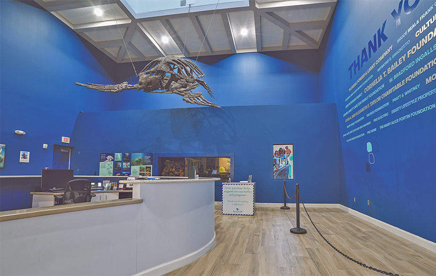 lobby room with welcome desk and turtle skeleton at loggerhead marinelife center juno beach