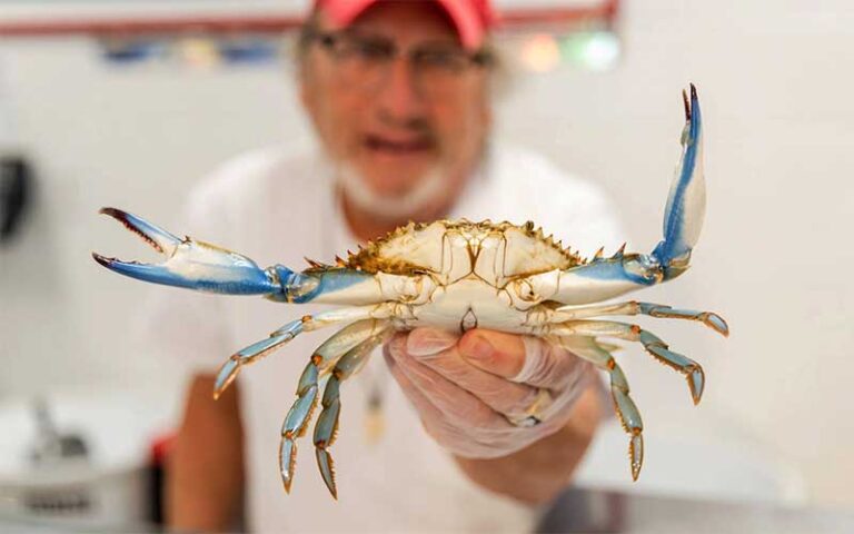 man holding up blue crab at destin ice seafood market deli