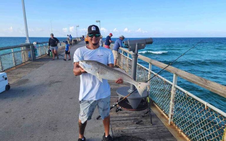 man posing with large fish on pier at okaloosa island pier