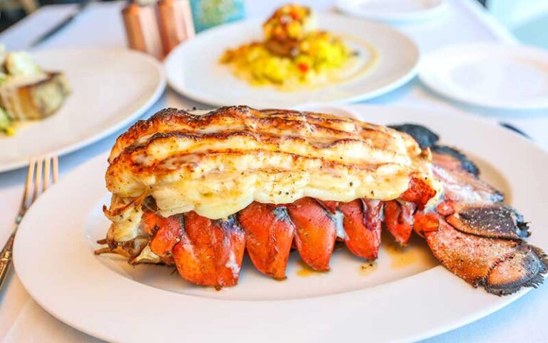 plated lobster tail at kyle gs prime seafood steaks hutchinson island south