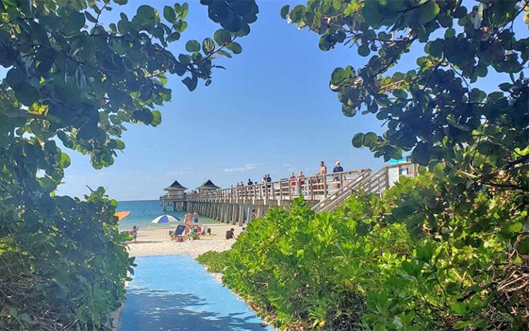 view from sea grapes of pier and beach at naples pier