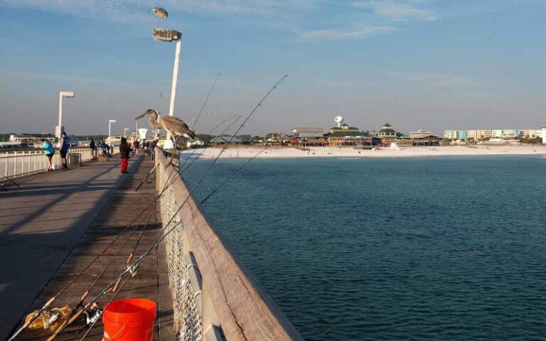 view of beach from side of pier with fishing rods at okaloosa island pier