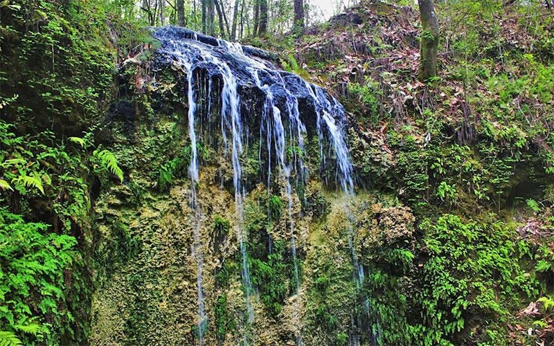 cascade in wooded area at falling waters state park chipley