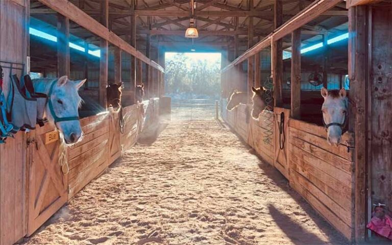 interior of horse stables at rock springs guest ranch sorrento