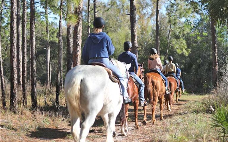 row of horseback riders with pines at rock springs guest ranch sorrento