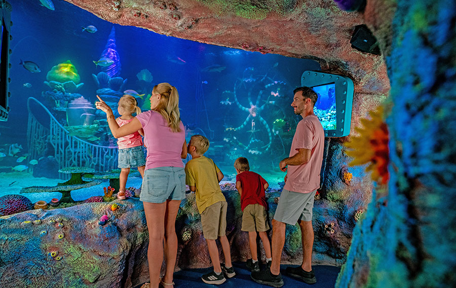 family of five in ocean aquarium exhibit cave viewing marine life theme park underwater at sea life florida at legoland