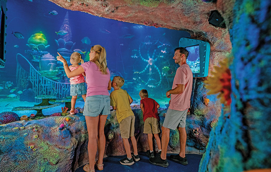 family viewing aquarium at sea life florida at legoland florida resort