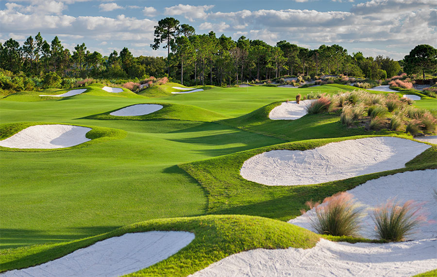 rolling hills and bunkers at dye course pga golf club village port st lucie