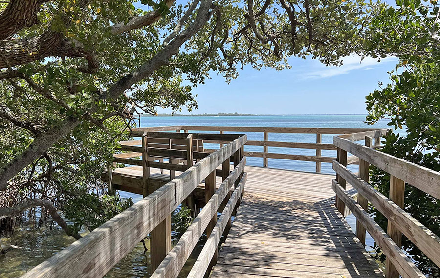 boardwalk leading from mangroves to bay view at leffis key preserve anna maria island