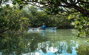 man paddling clear kayak in mangroves at get up and go kayaking ft pierce